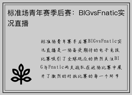 标准场青年赛季后赛：BIGvsFnatic实况直播